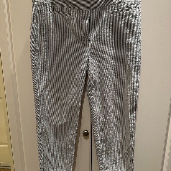 Ann Taylor Summer Pants - Picture 2 of 7